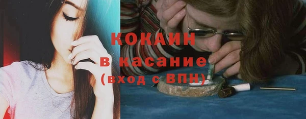 стаф Медногорск