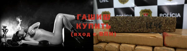 стаф Медногорск