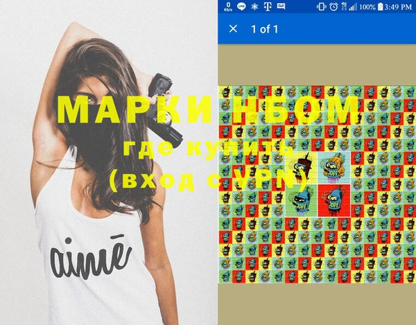 стафф Михайловск