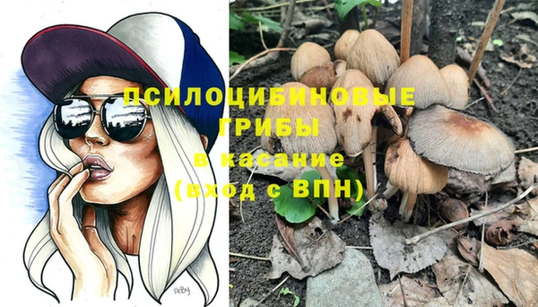 ГАЛЛЮЦИНОГЕННЫЕ ГРИБЫ Мегион