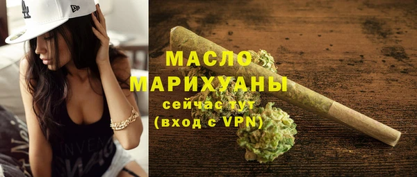 стаф Медногорск