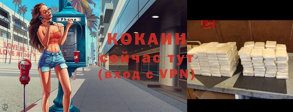 стаф Медногорск