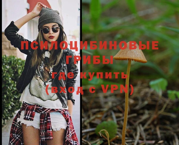 стаф Медногорск