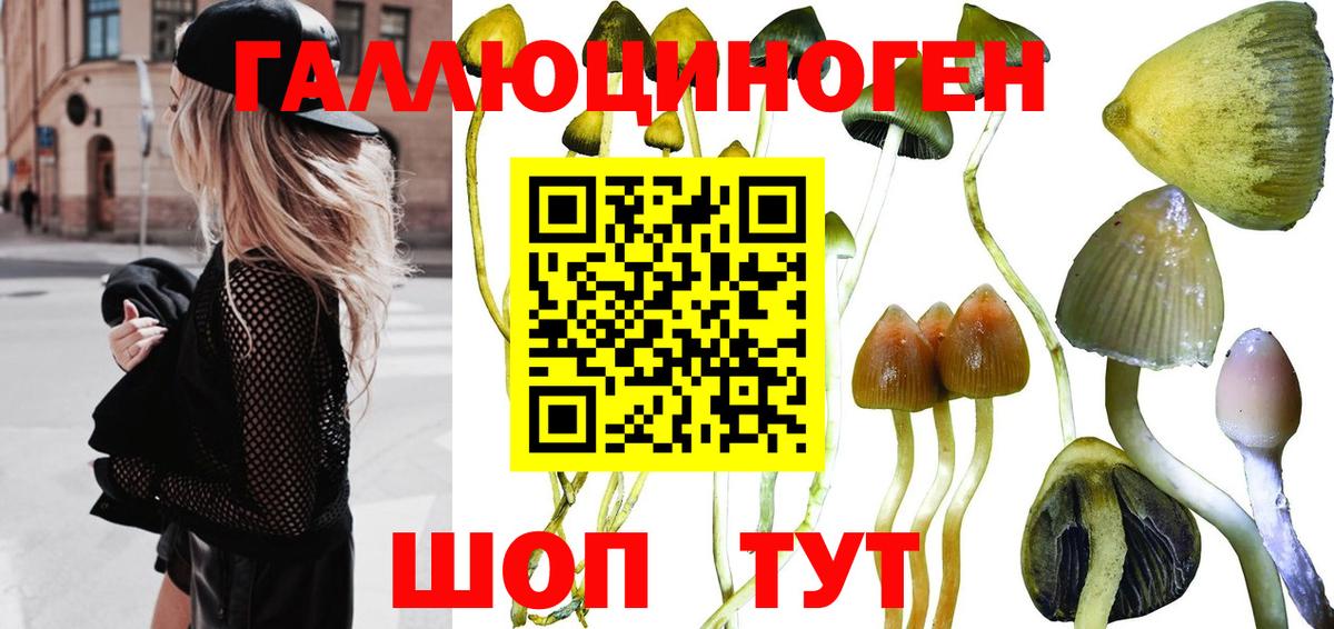 Галлюциногенные грибы Magic Shrooms  Вход с VPN  Галлюциногенные грибы GOLDEN TEACHER  Сертолово 