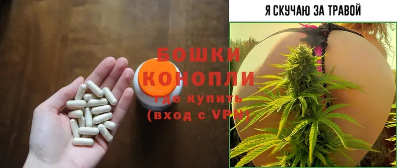 блэк спрут ссылки  Сертолово  Марихуана OG Kush  закладка 